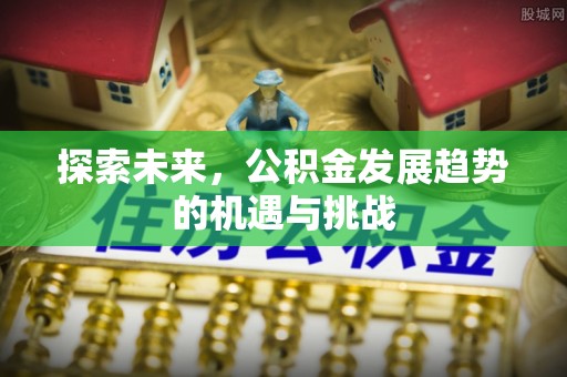 轮台探索未来，公积金发展趋势的机遇与挑战