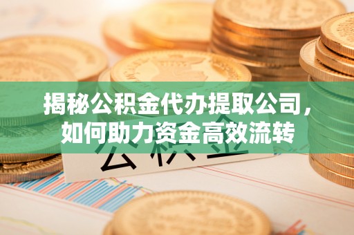 轮台揭秘公积金代办提取公司，如何助力资金高效流转