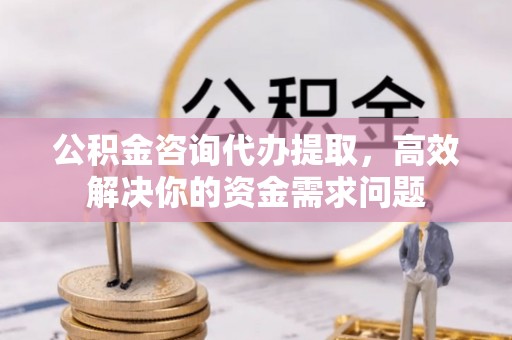 轮台公积金咨询代办提取，高效解决你的资金需求问题