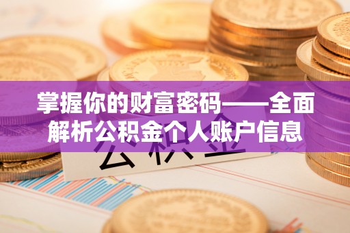 轮台掌握你的财富密码——全面解析公积金个人账户信息