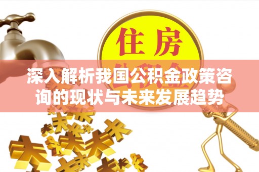 轮台深入解析我国公积金政策咨询的现状与未来发展趋势