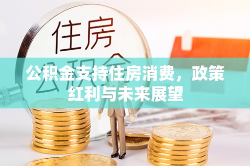 轮台公积金支持住房消费，政策红利与未来展望
