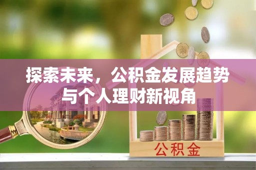 轮台探索未来，公积金发展趋势与个人理财新视角
