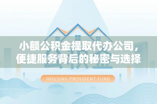 轮台小额公积金提取代办公司，便捷服务背后的秘密与选择指南