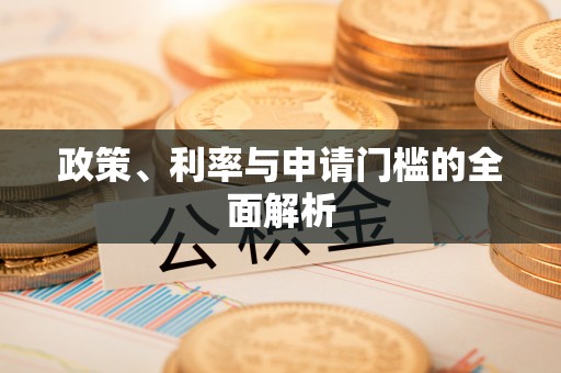 轮台政策、利率与申请门槛的全面解析