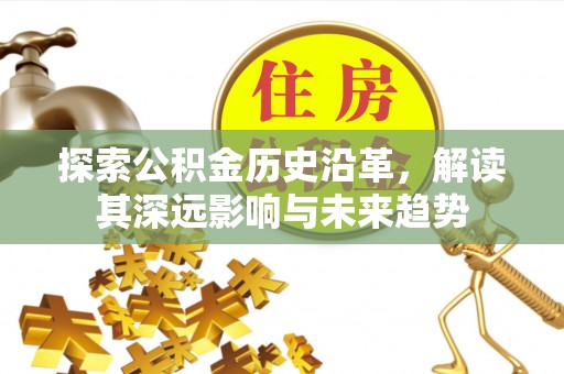 轮台探索公积金历史沿革，解读其深远影响与未来趋势