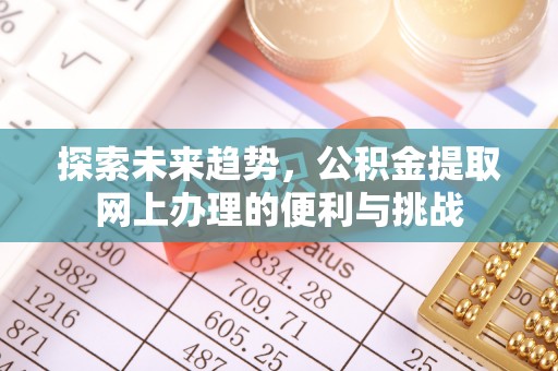 轮台探索未来趋势，公积金提取网上办理的便利与挑战