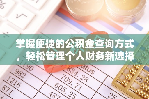 轮台掌握便捷的公积金查询方式，轻松管理个人财务新选择