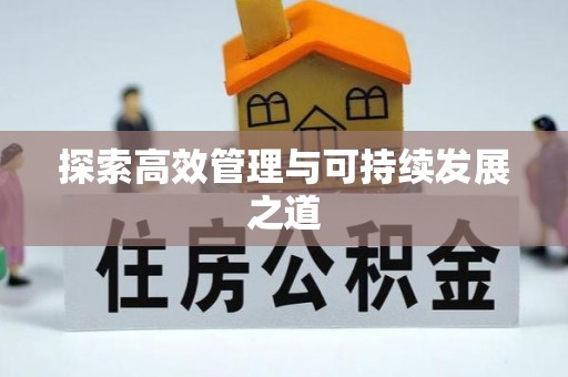 轮台探索高效管理与可持续发展之道