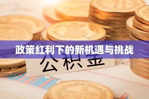 轮台政策红利下的新机遇与挑战
