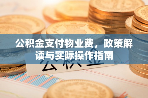 轮台公积金支付物业费，政策解读与实际操作指南
