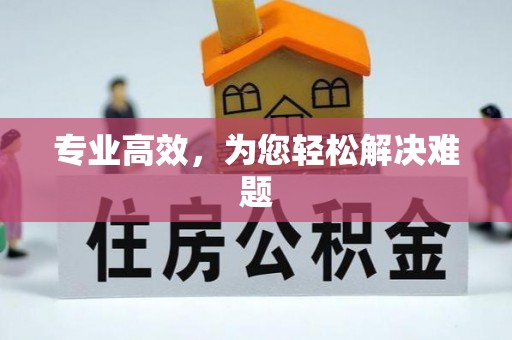 轮台专业高效，为您轻松解决难题