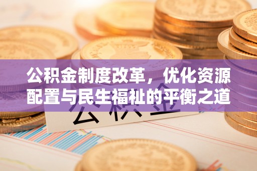 轮台公积金制度改革，优化资源配置与民生福祉的平衡之道
