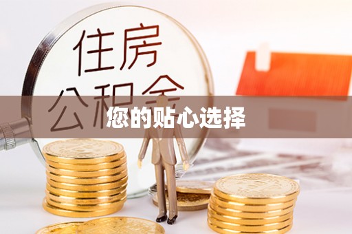 轮台您的贴心选择