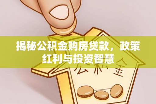 轮台揭秘公积金购房贷款，政策红利与投资智慧