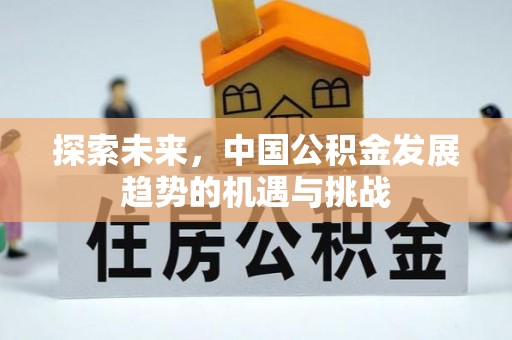 轮台探索未来，中国公积金发展趋势的机遇与挑战