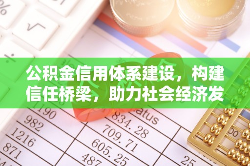 轮台公积金信用体系建设，构建信任桥梁，助力社会经济发展