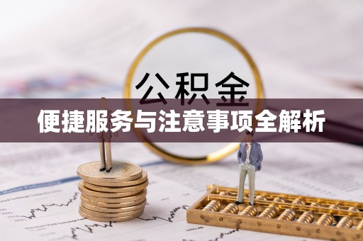 轮台便捷服务与注意事项全解析
