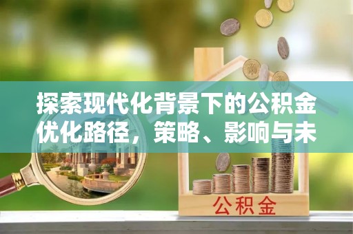 轮台探索现代化背景下的公积金优化路径，策略、影响与未来展望