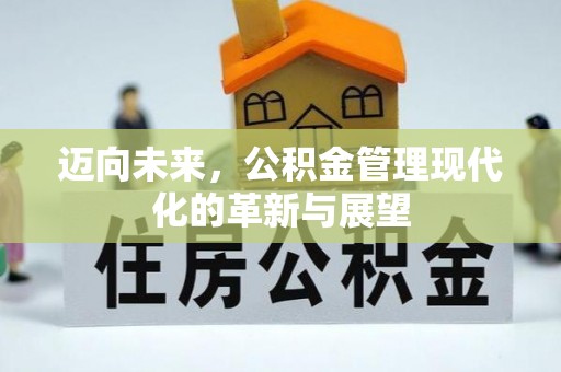 轮台迈向未来，公积金管理现代化的革新与展望