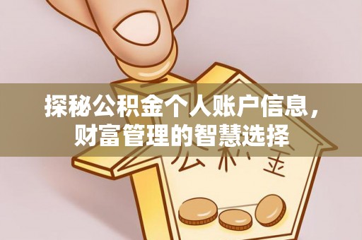 轮台探秘公积金个人账户信息，财富管理的智慧选择