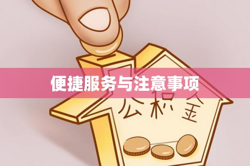 轮台便捷服务与注意事项