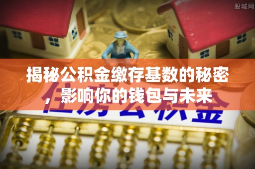 轮台揭秘公积金缴存基数的秘密，影响你的钱包与未来