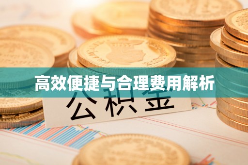 轮台高效便捷与合理费用解析