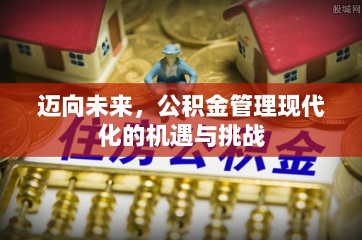 轮台迈向未来，公积金管理现代化的机遇与挑战