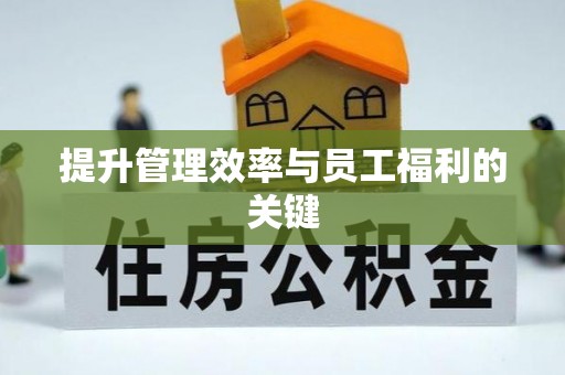 轮台提升管理效率与员工福利的关键