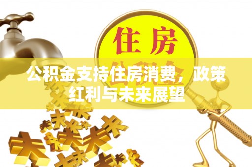 轮台公积金支持住房消费，政策红利与未来展望