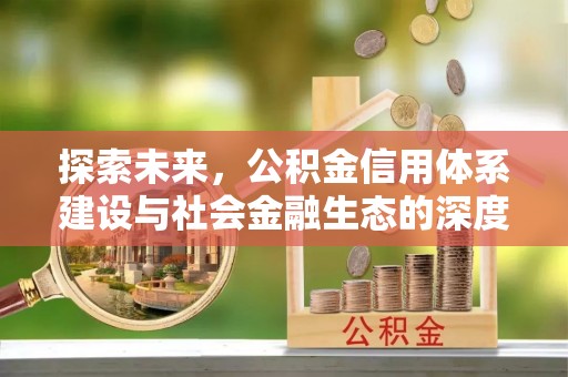 轮台探索未来，公积金信用体系建设与社会金融生态的深度融合