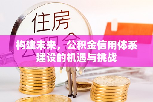 轮台构建未来，公积金信用体系建设的机遇与挑战