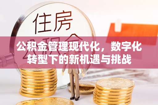 轮台公积金管理现代化，数字化转型下的新机遇与挑战
