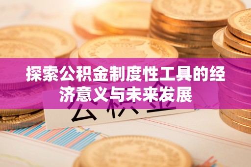 轮台探索公积金制度性工具的经济意义与未来发展