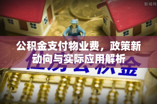 轮台公积金支付物业费，政策新动向与实际应用解析