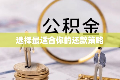 轮台选择最适合你的还款策略