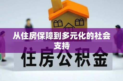 轮台从住房保障到多元化的社会支持